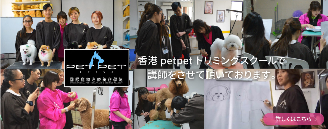 香港petpetトリミングスクールで講師をさせて頂きました。