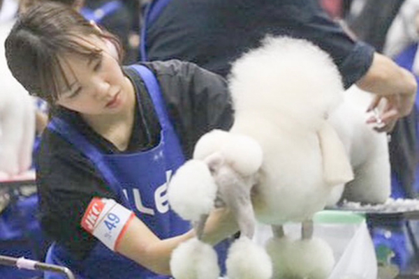 トリミング競技大会