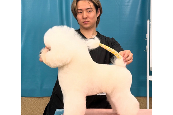 トリミング競技大会